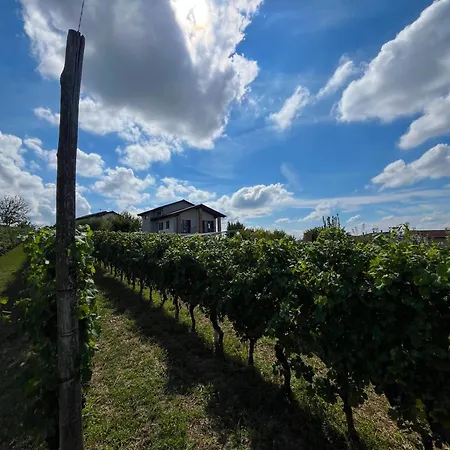Il Girasole - Langhe Πανσιόν