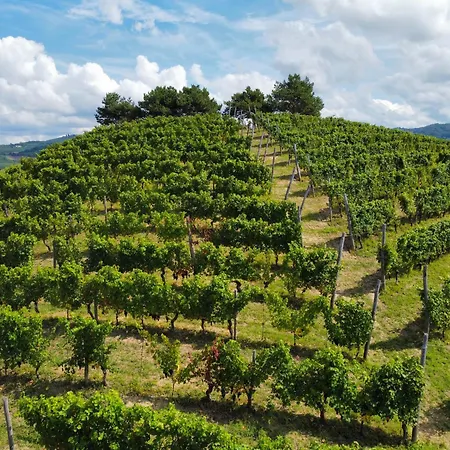 Il Girasole - Langhe Πανσιόν