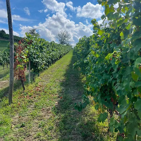 Πανσιόν Il Girasole - Langhe 4*