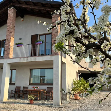 Il Girasole - Langhe Treiso