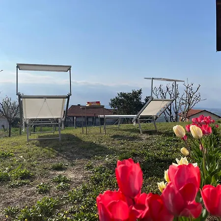 Il Girasole - Langhe
