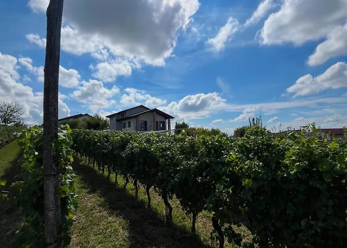 Il Girasole - Langhe Konukevi