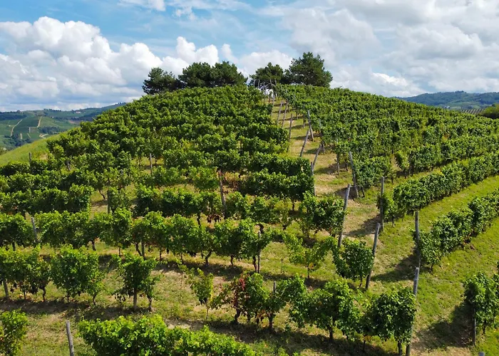 Il Girasole - Langhe Konukevi